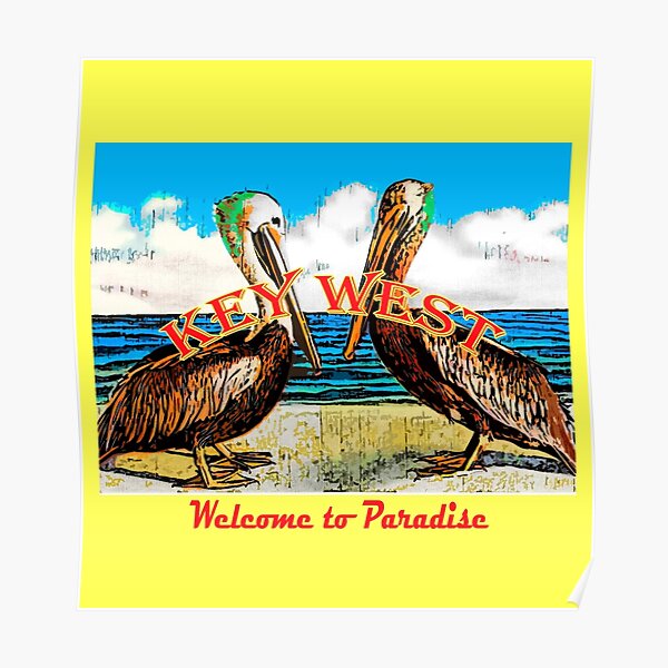 Pelican Paradise Poster