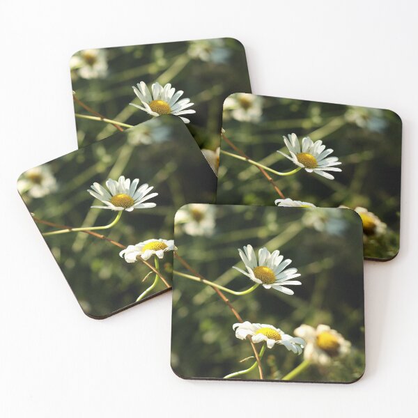 Item preview, Chamomile  designed and sold by Anna Prendergast.