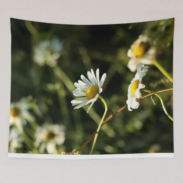 Item preview, Chamomile  designed and sold by Anna Prendergast.