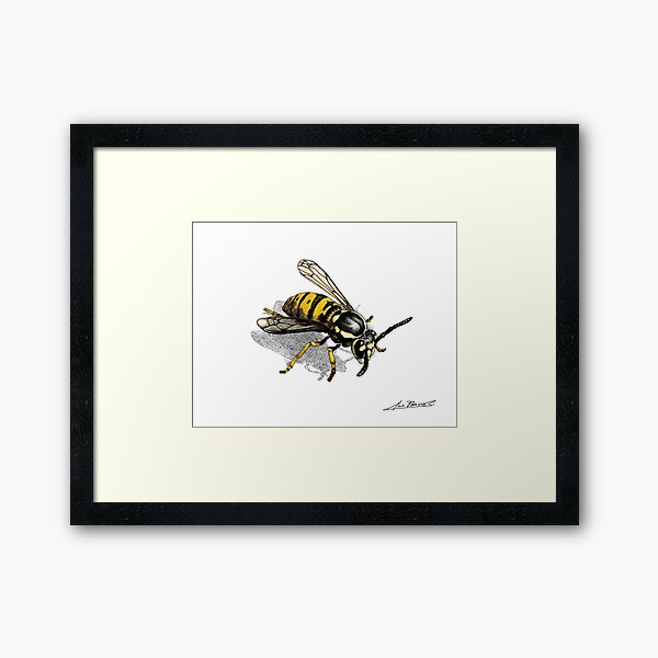Wasp Framed Art Print