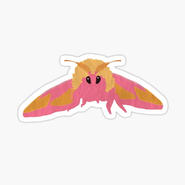 Item preview, Rosy Maple Moth designed and sold by mjalred.