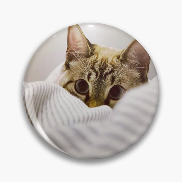Item preview, Hidden cat designed and sold by Pedroespejo.