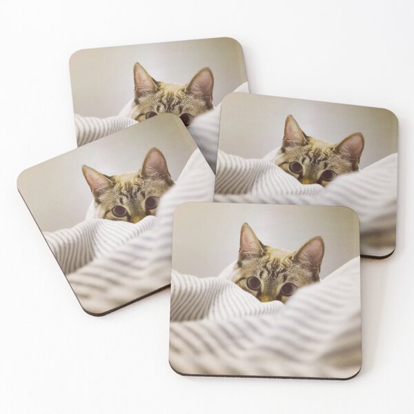 Item preview, Hidden cat designed and sold by Pedroespejo.