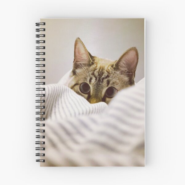 Item preview, Hidden cat designed and sold by Pedroespejo.