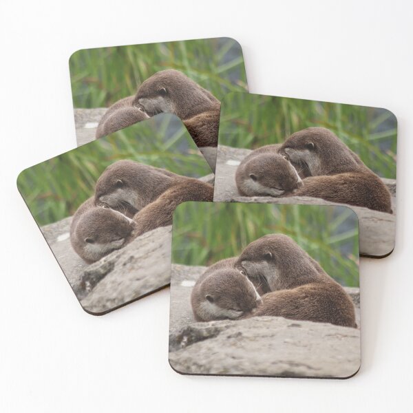Item preview, Asian Short-clawed otter designed and sold by KatieWilde04.