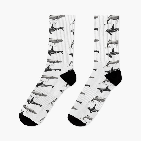 Item preview, Orca killer whale and humpback whale designed and sold by chloeyzoard.