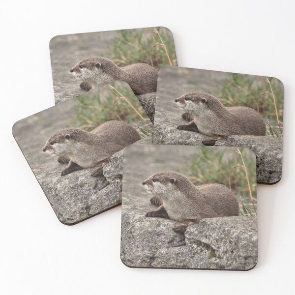 Item preview, Asian Short-clawed otter designed and sold by KatieWilde04.