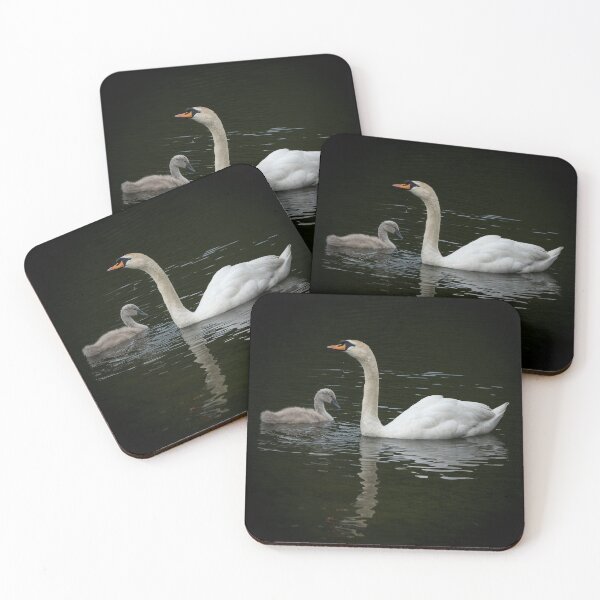 Item preview, Swan and Cygnet designed and sold by cmphotographs.