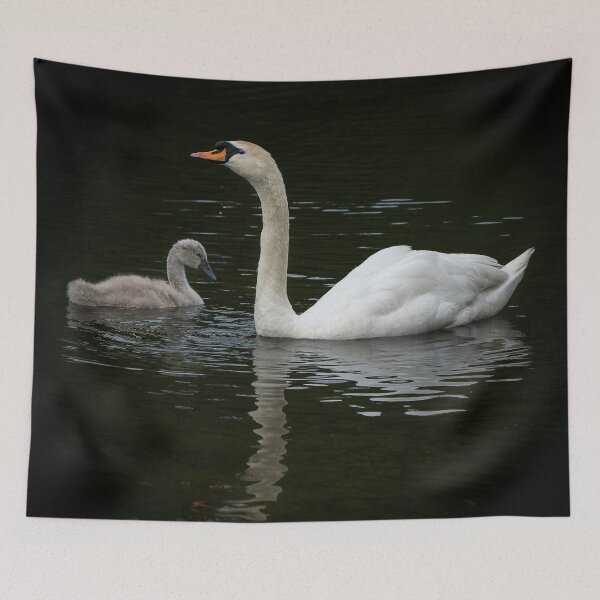 Item preview, Swan and Cygnet designed and sold by cmphotographs.