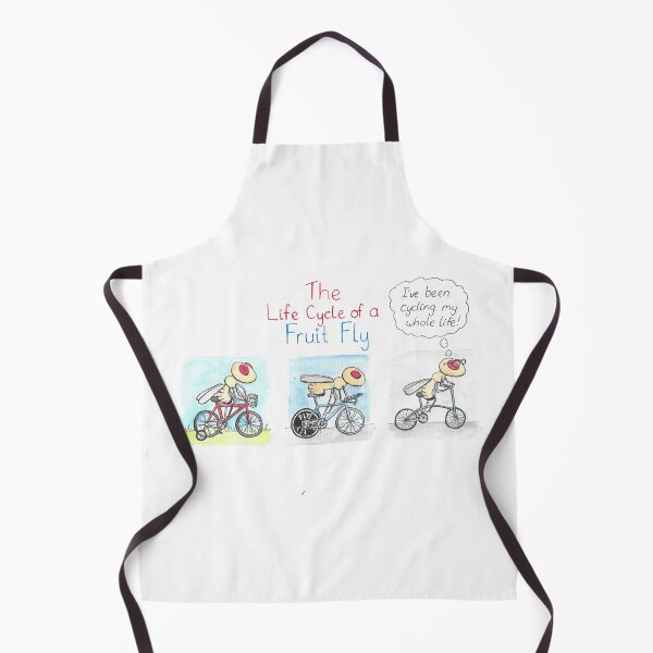 Item preview, The life cycle of a fruit fly designed and sold by DaniEdmunds.