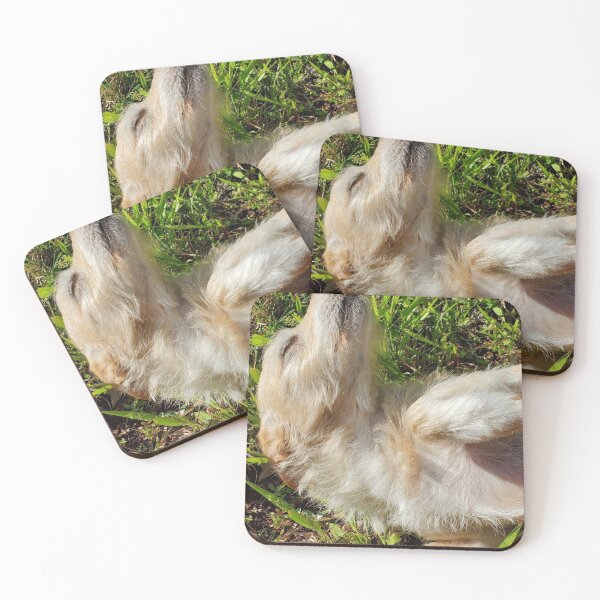 Item preview, Eban basking in the sun designed and sold by PaisleysPage.