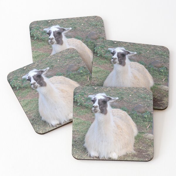 Item preview, Llama designed and sold by Tebra.