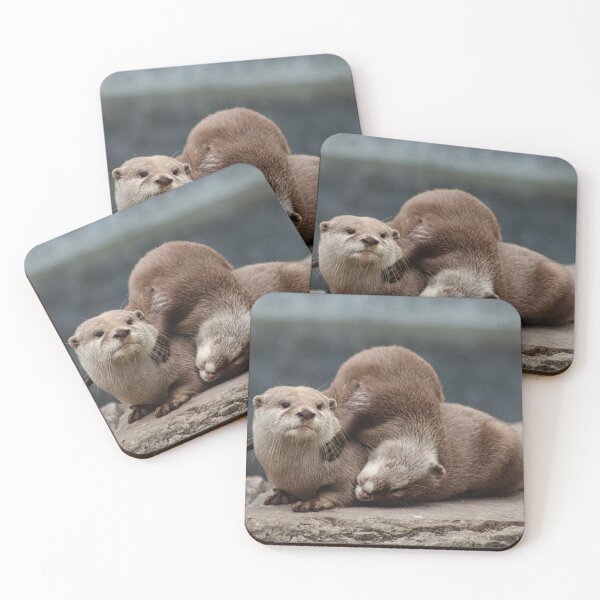 Item preview, Asian Short-clawed otter designed and sold by KatieWilde04.