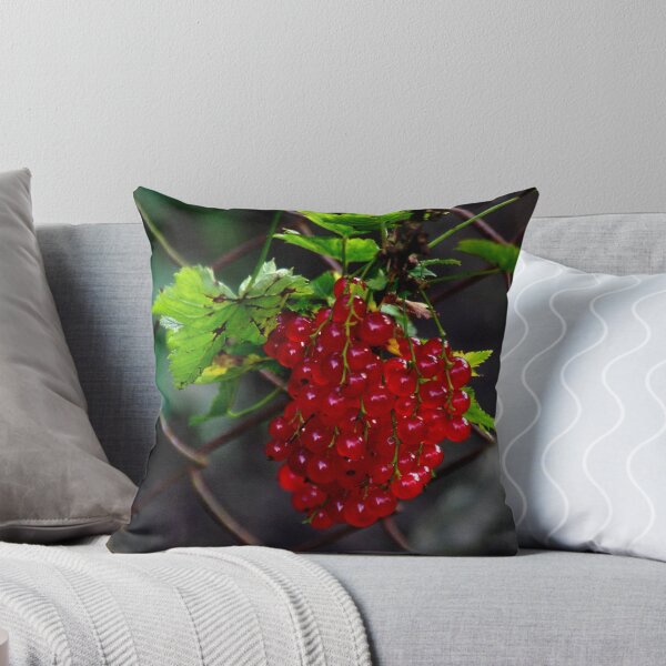 Item preview, Red currants designed and sold by Bluesrose.
