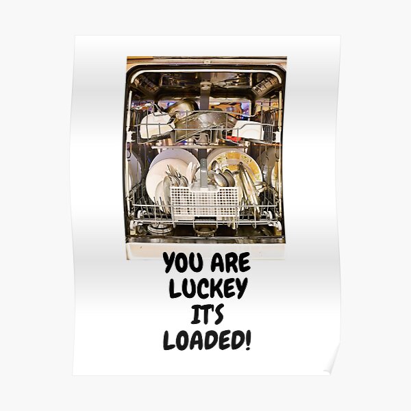 Dishwasher Posters Redbubble