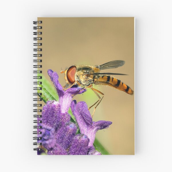 Item preview, A hover fly  designed and sold by cmphotographs.