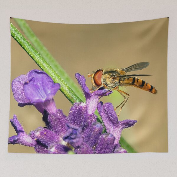 Item preview, A hover fly  designed and sold by cmphotographs.