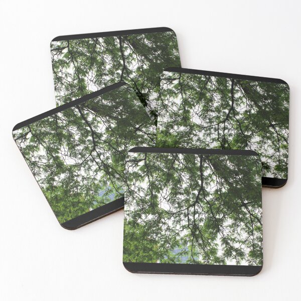 Item preview, Bright Sky Peaking Through Chicago Trees designed and sold by djamorartworks.