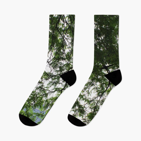 Item preview, Bright Sky Peaking Through Chicago Trees designed and sold by djamorartworks.
