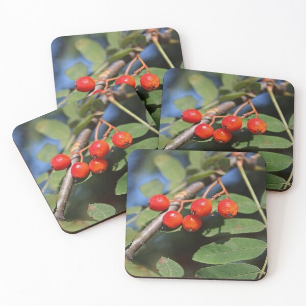 Item preview, Ripe red Rowan berries bunch  designed and sold by Asaha17.