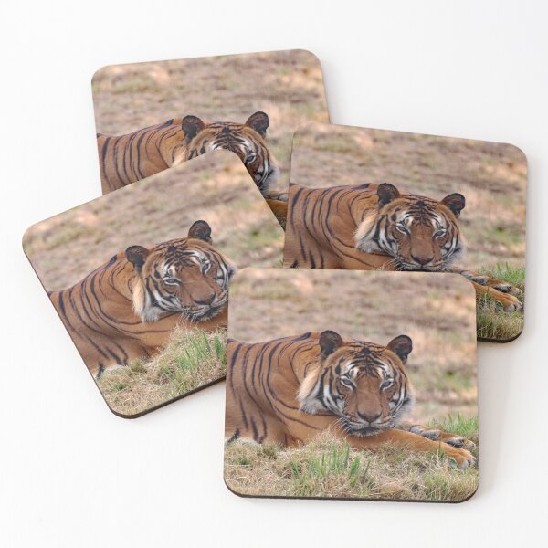 Item preview, A Fabulous Malayan Tiger designed and sold by Karen Thomson.