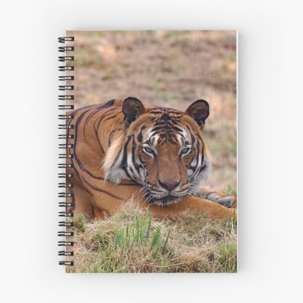 Item preview, A Fabulous Malayan Tiger designed and sold by Karen Thomson.