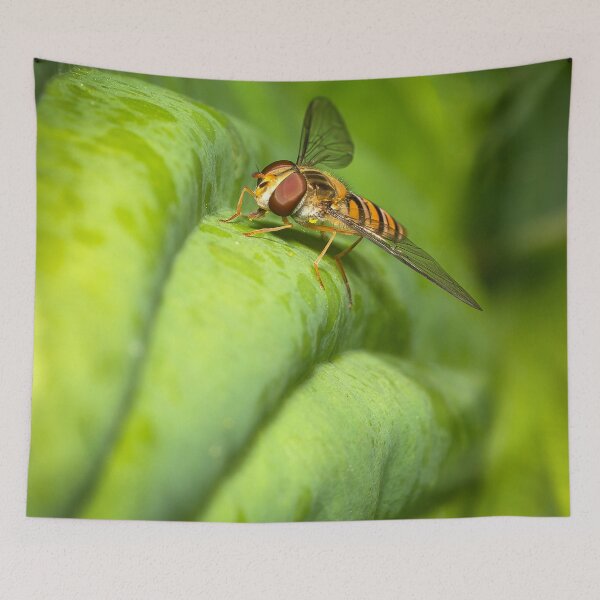Item preview, A hover fly  designed and sold by cmphotographs.