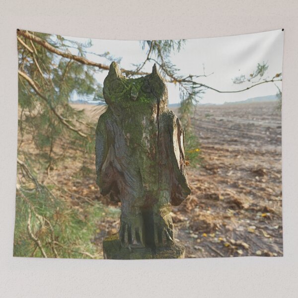Item preview, Whoot Old Sculpture of an owl carved in a tree trunk photography designed and sold by EllianhPi.