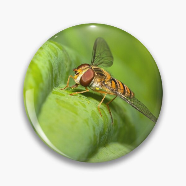 Item preview, A hover fly  designed and sold by cmphotographs.