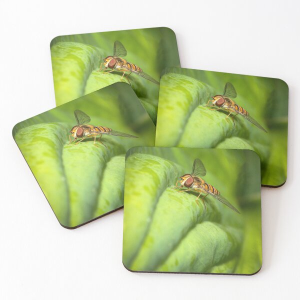Item preview, A hover fly  designed and sold by cmphotographs.