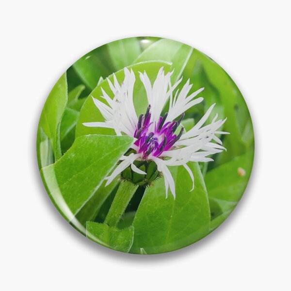 Item preview, Bee Balm in Purple and White designed and sold by BRP-SHOP.