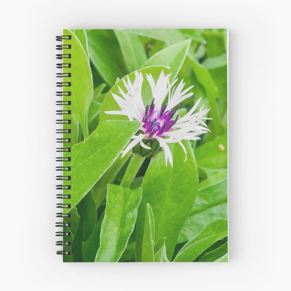 Item preview, Bee Balm in Purple and White designed and sold by BRP-SHOP.