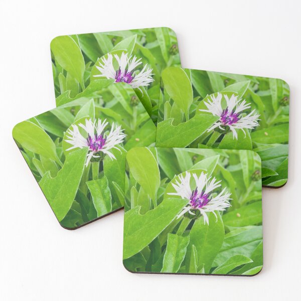 Item preview, Bee Balm in Purple and White designed and sold by BRP-SHOP.