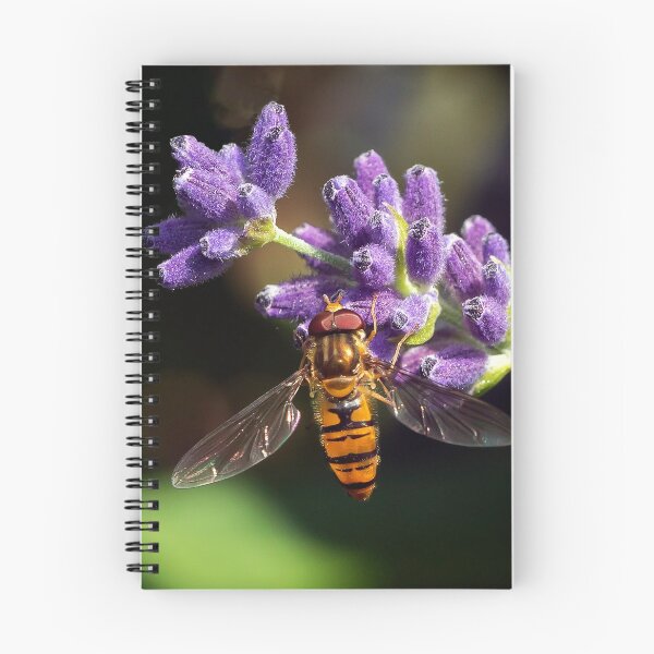 Item preview, A hover fly  designed and sold by cmphotographs.