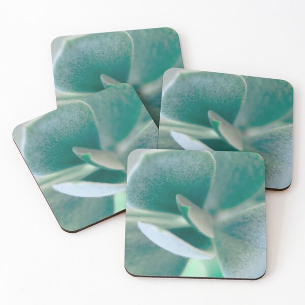 Item preview, fuzzy green succulent, close up designed and sold by no-photo.