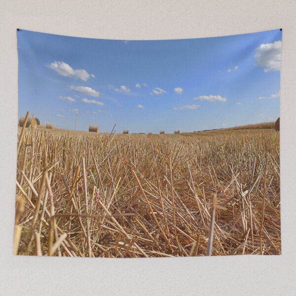 Item preview, Blue sky Stubble photography designed and sold by EllianhPi.
