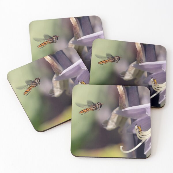 Item preview, A hover fly  designed and sold by cmphotographs.