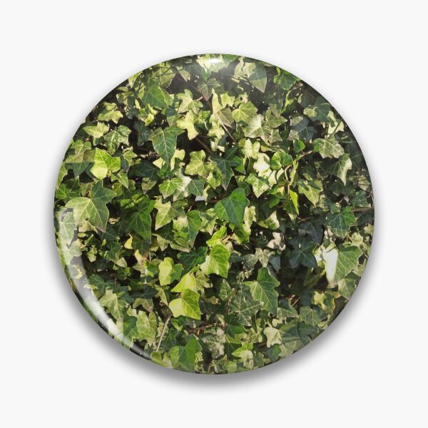Item preview, Green Ivy Leaves photography designed and sold by EllianhPi.