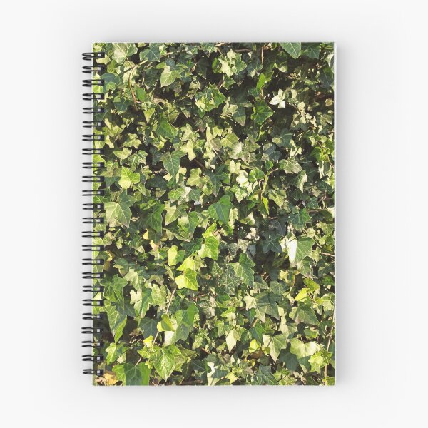 Item preview, Green Ivy Leaves photography designed and sold by EllianhPi.