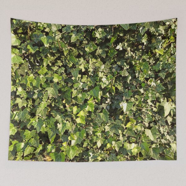 Item preview, Green Ivy Leaves photography designed and sold by EllianhPi.