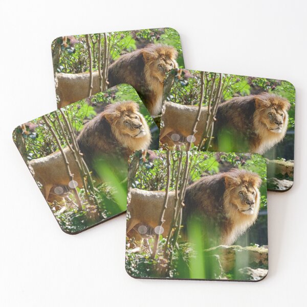 Item preview, Lion Stare designed and sold by mhailittlearts.