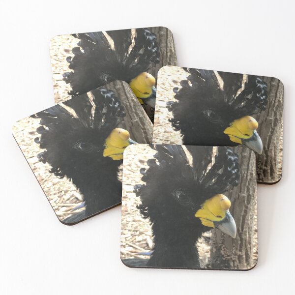 Item preview, Black Curassow designed and sold by gnlglory.