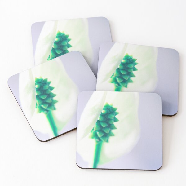 Item preview, peace lily, close up, flower designed and sold by no-photo.