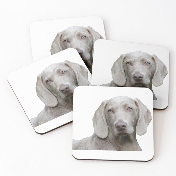 Item preview, Weimaraner Sticker designed and sold by apuppyfeed.