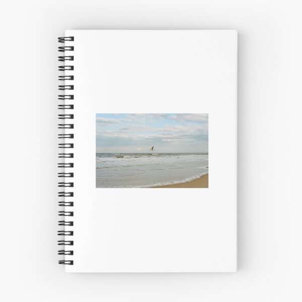 Item preview, Seagull on Nags Head designed and sold by Chris35mm.