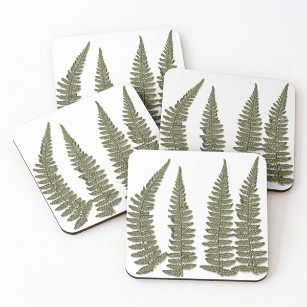 Item preview, Ferns pattern designed and sold by skyesketches.