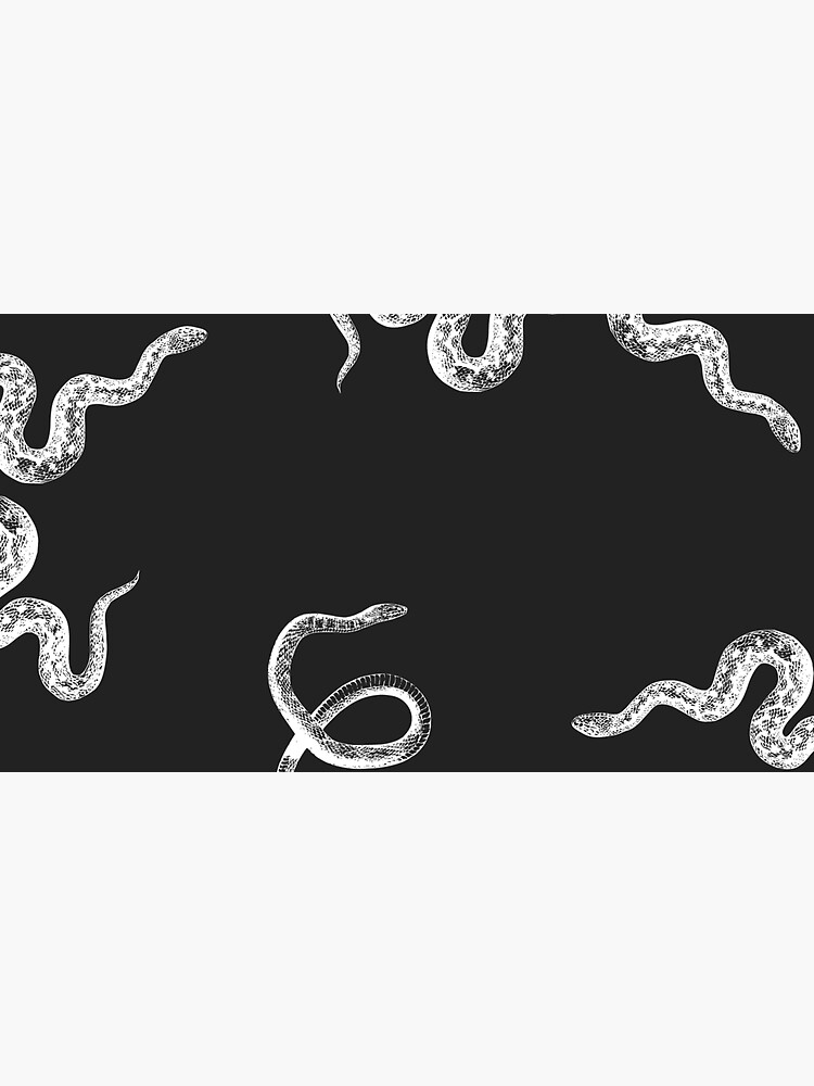"Black and white snakes" Sticker for Sale by MonicasPlace Redbubble