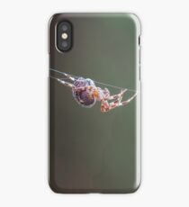 Spider iPhone Case
