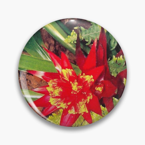 Item preview, Orange Succluent Flower designed and sold by Monika's Shop.