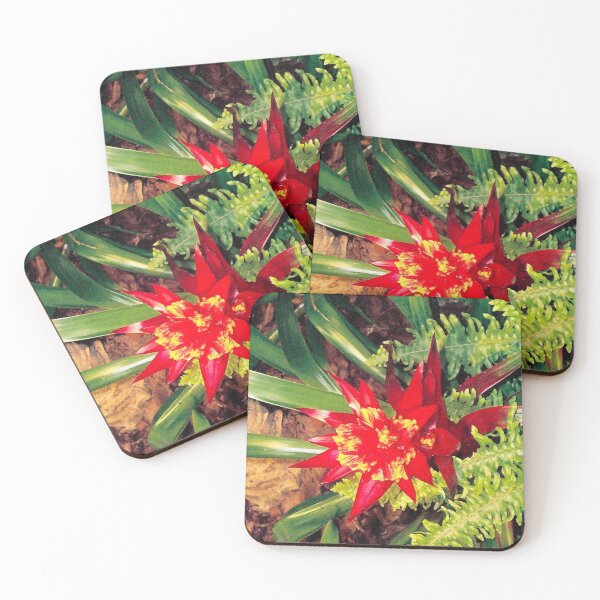 Item preview, Orange Succluent Flower designed and sold by Monika's Shop.